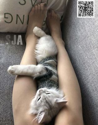 老湿吧在线观看_1080P日韩电影在线